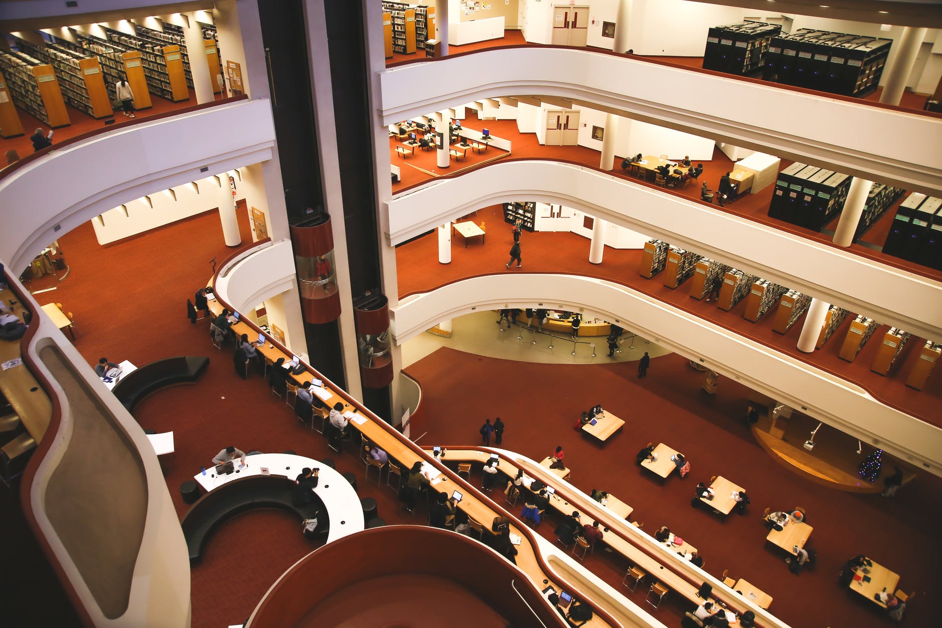 interior of elegant spacious multistory library