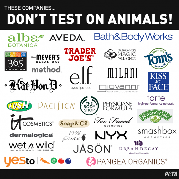 Companies That DONT Test On Animals Post v5 602x602 1