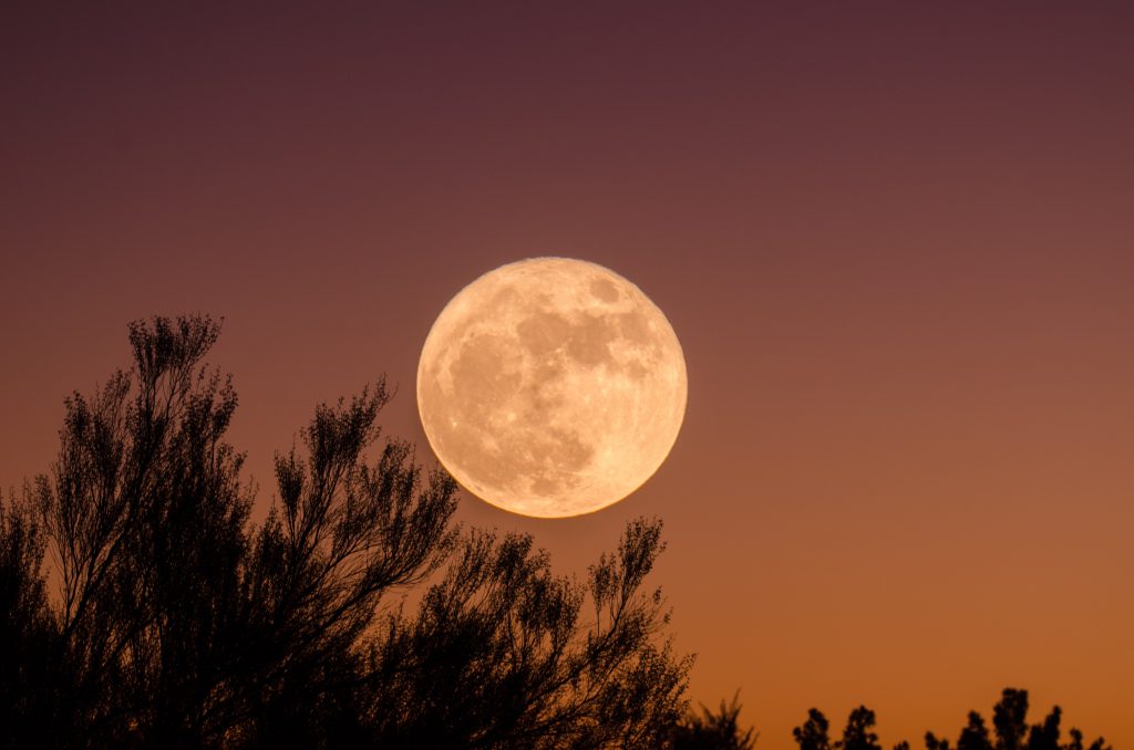 Gaze at the Pink Supermoon this April