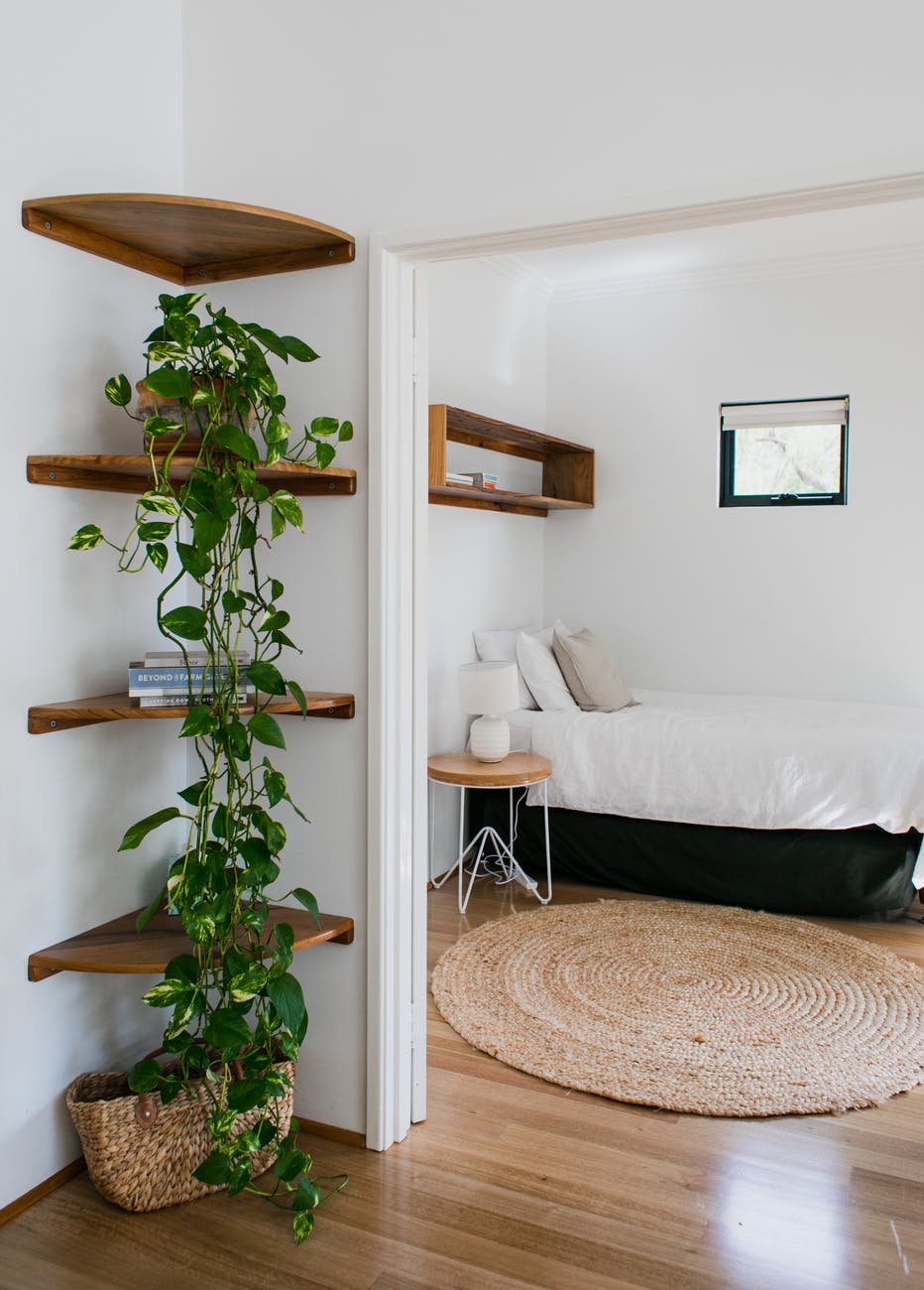 interior of cozy lounge with potted green plants on shelves |  How to Make Your Small Space Feel Bigger