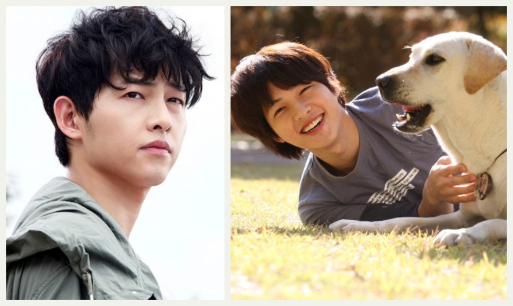 Song Joong Ki Movies + Dramas To Watch While Waiting for More "Vincenzo" Episodes