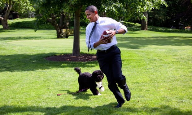 Obama Family Dog, Bo, Dies at Age 12