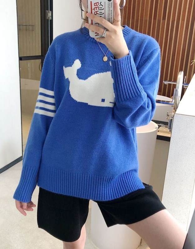 Jin Blue Whale Sweater 13