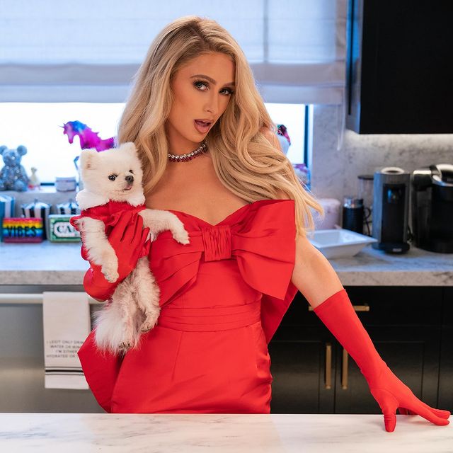 Paris Hilton Lands Her Own 'Unique Cooking Show' On Netflix