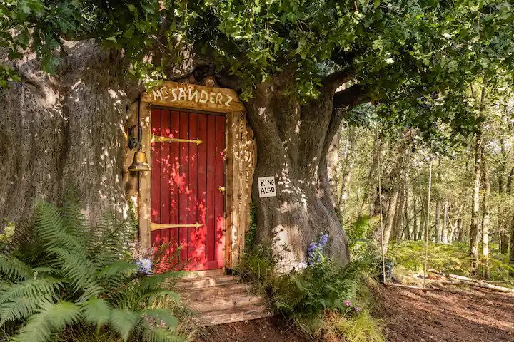 LOOK: You can spend the night inside Winnie the Pooh's tree house via Airbnb