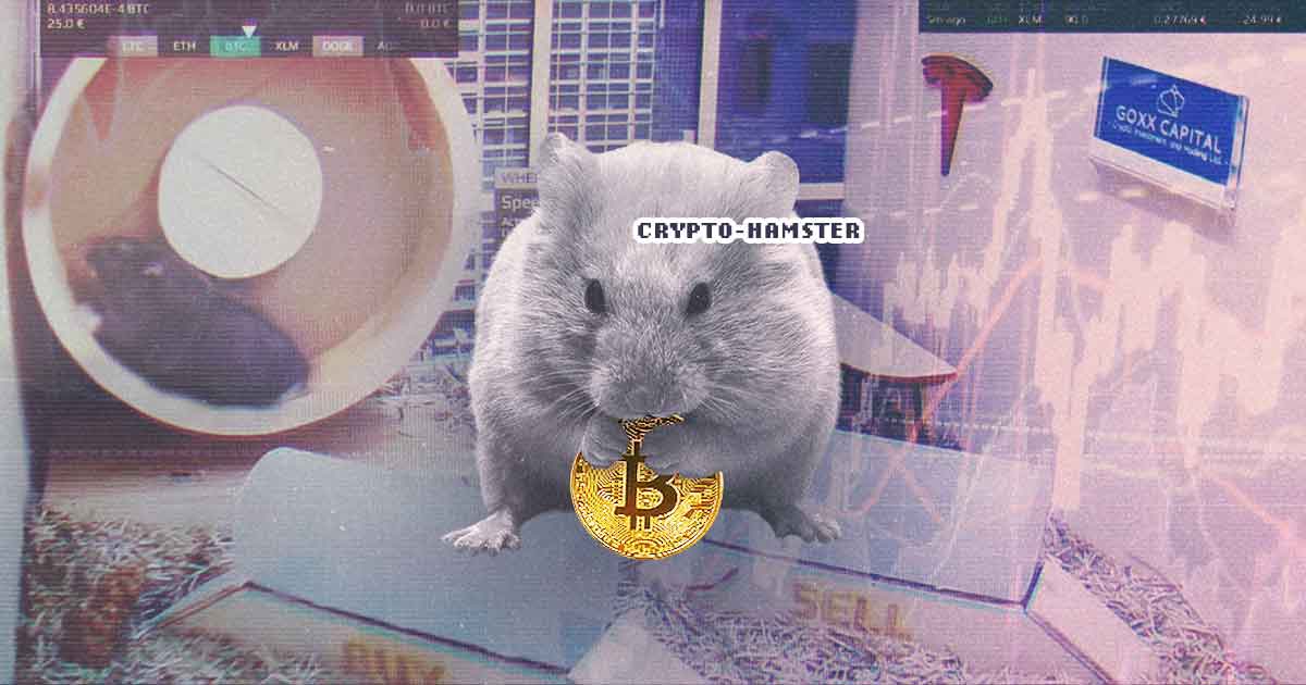 Crypto Hamster