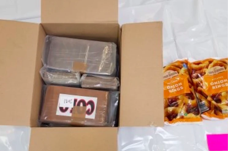 Cocaine worth $44 million found in onion rings cargo