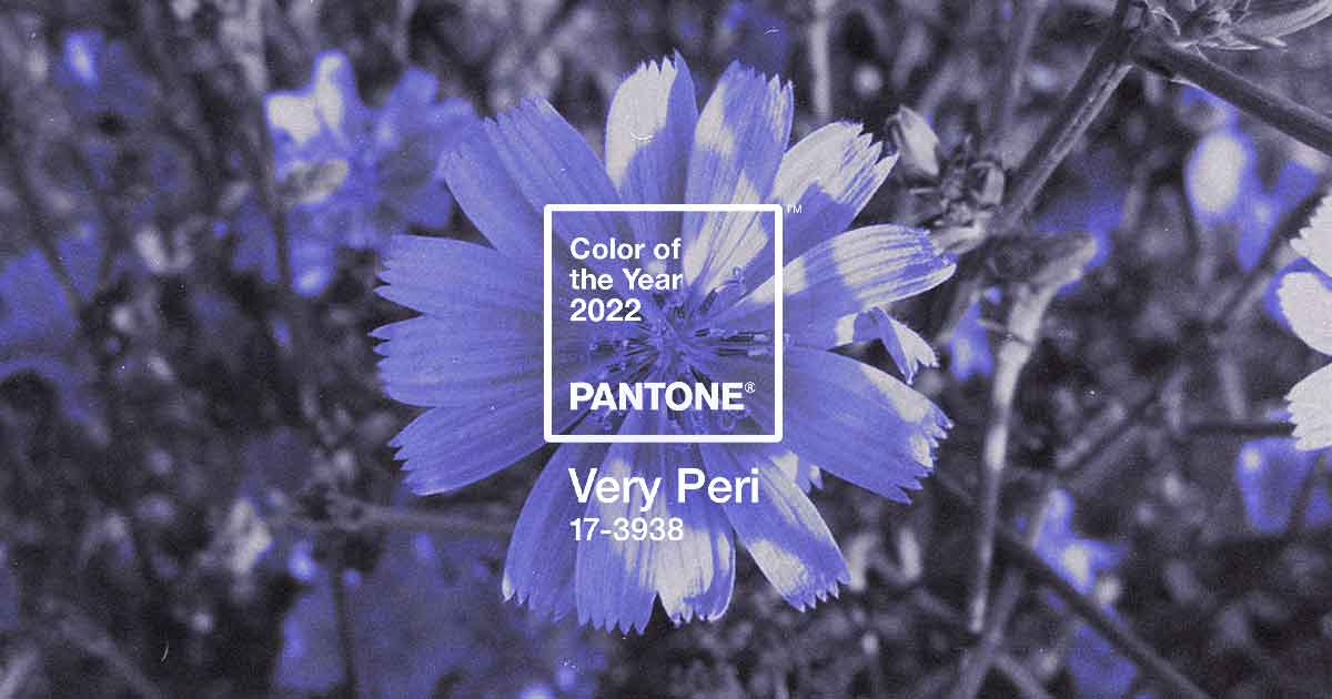 Very Peri as Pantone 2022s color of the year