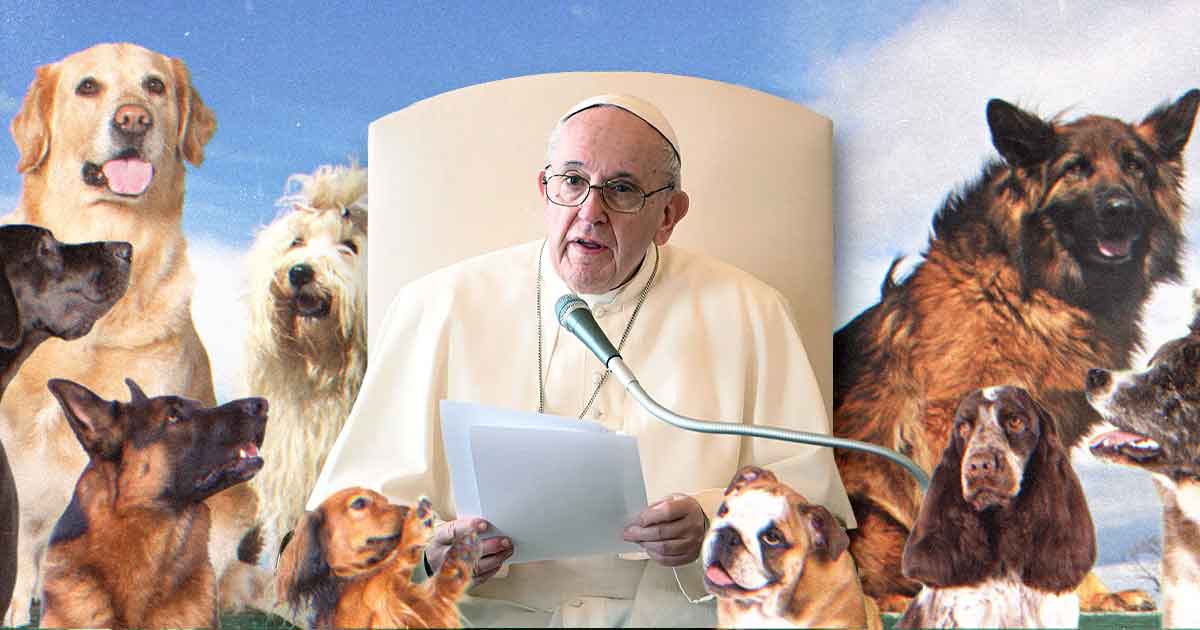 Pope Francis on having pets and not children