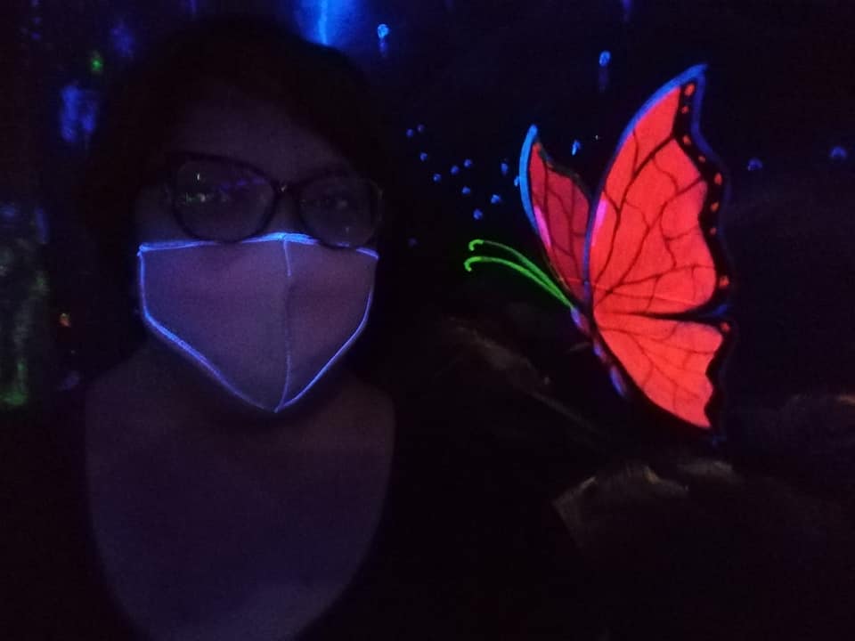 See a butterfly in black light.