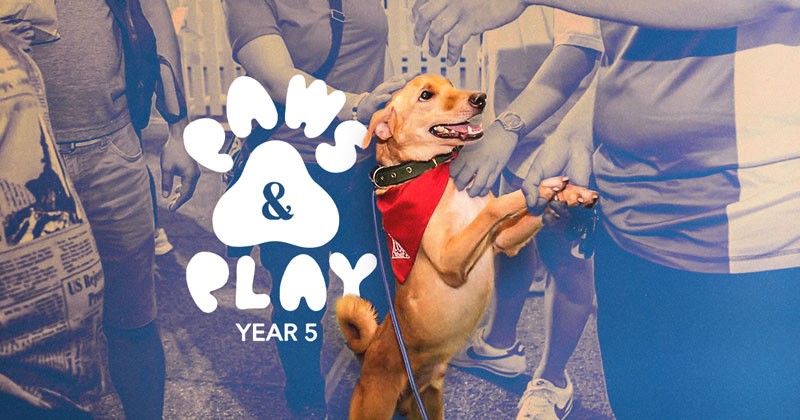 Paws N Plays fifth anniversary