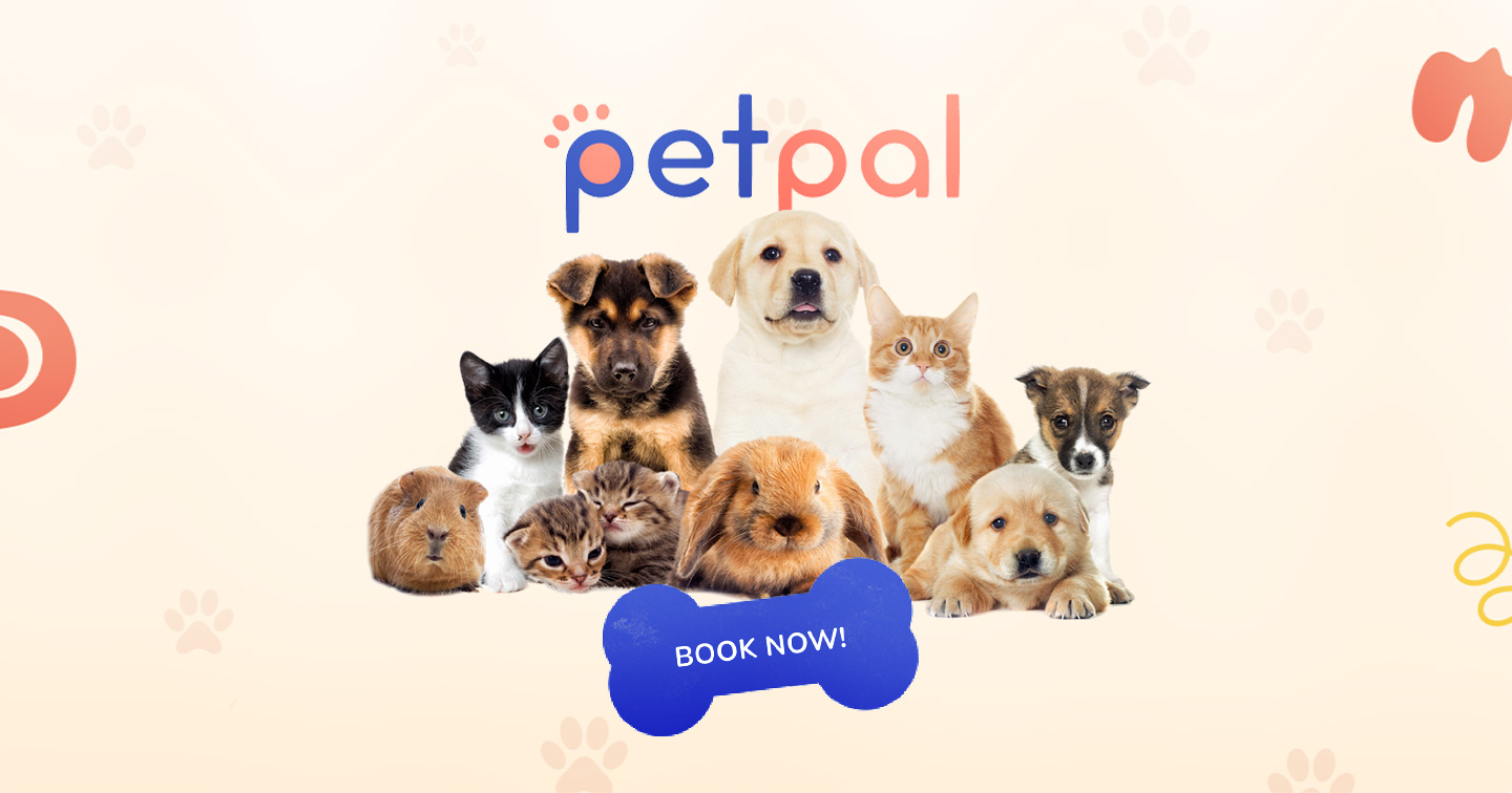 PetPals TeleConsult for your Furbabies