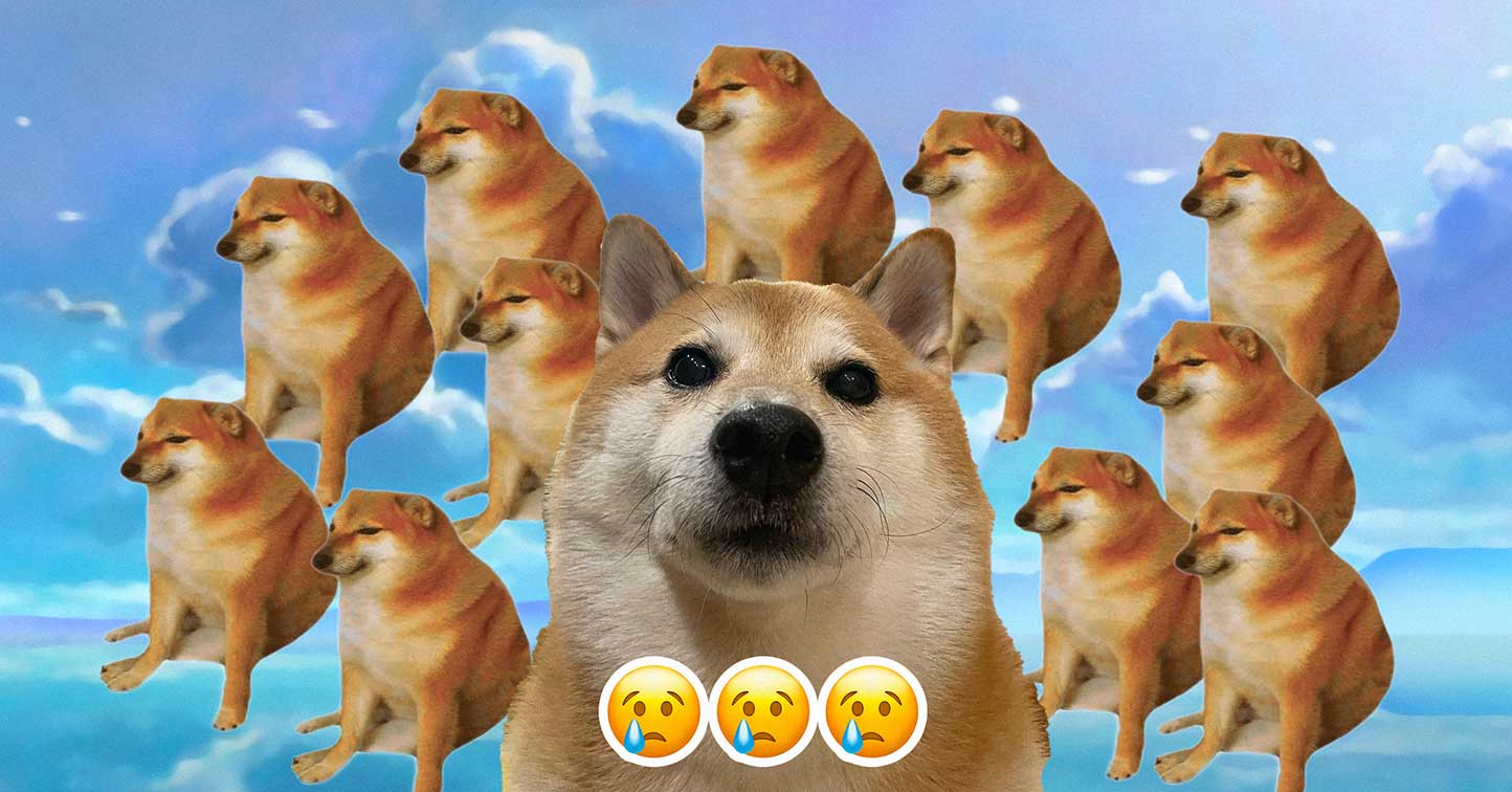 cheems shiba inu meme dog passed away thumbnail